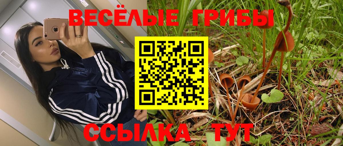 Псилоцибиновые грибы GOLDEN TEACHER  продажа наркотиков  Ступино  Вход с VPN 